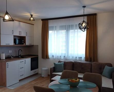 izdavanje-apartman-zlatibor-prva-zona-500m-od-centra-parking