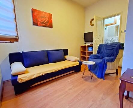 stan-na-dan-zemun-centar-sa-parkingom-25e (2)