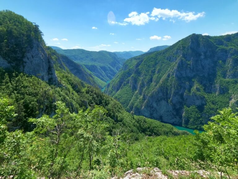 Planina Tara i pogled na kanjon Drine – jedno od najlepših mesta u Srbiji za odmor