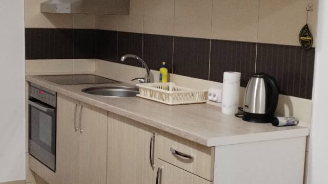 apartman-banja-koviljaca-zdravka-masanovica-17a (4)