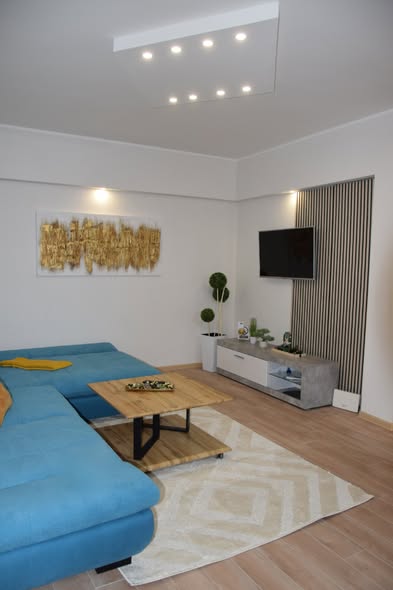 stan-na-dan-novi-sad-laze-kostica