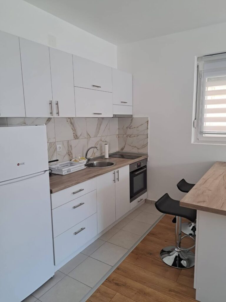apartman-lazarevic-sokobanja-kneza-milosa-42 (2)