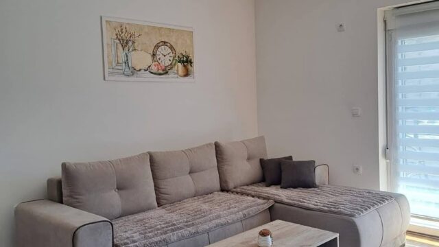 apartman-lazarevic-sokobanja-kneza-milosa-42 (4)