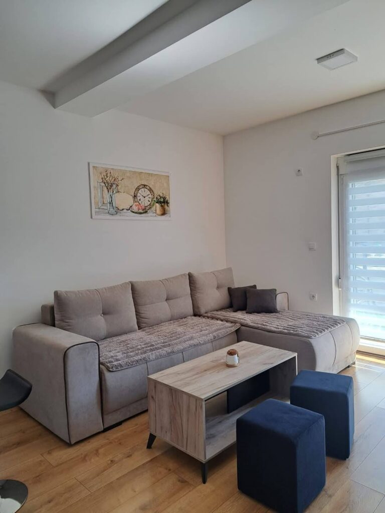 apartman-lazarevic-sokobanja-kneza-milosa-42 (4)