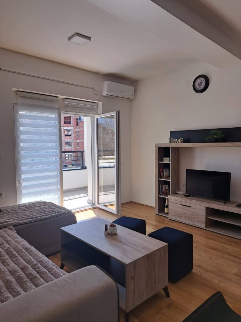apartman-lazarevic-sokobanja-kneza-milosa-42 (5)