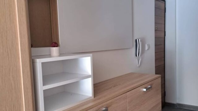 apartman-lazarevic-sokobanja-kneza-milosa-42 (6)
