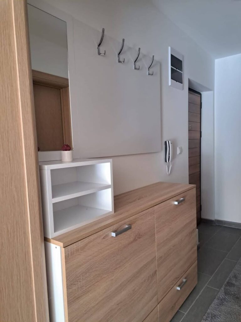 apartman-lazarevic-sokobanja-kneza-milosa-42 (6)