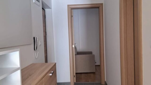 apartman-lazarevic-sokobanja-kneza-milosa-42 (7)