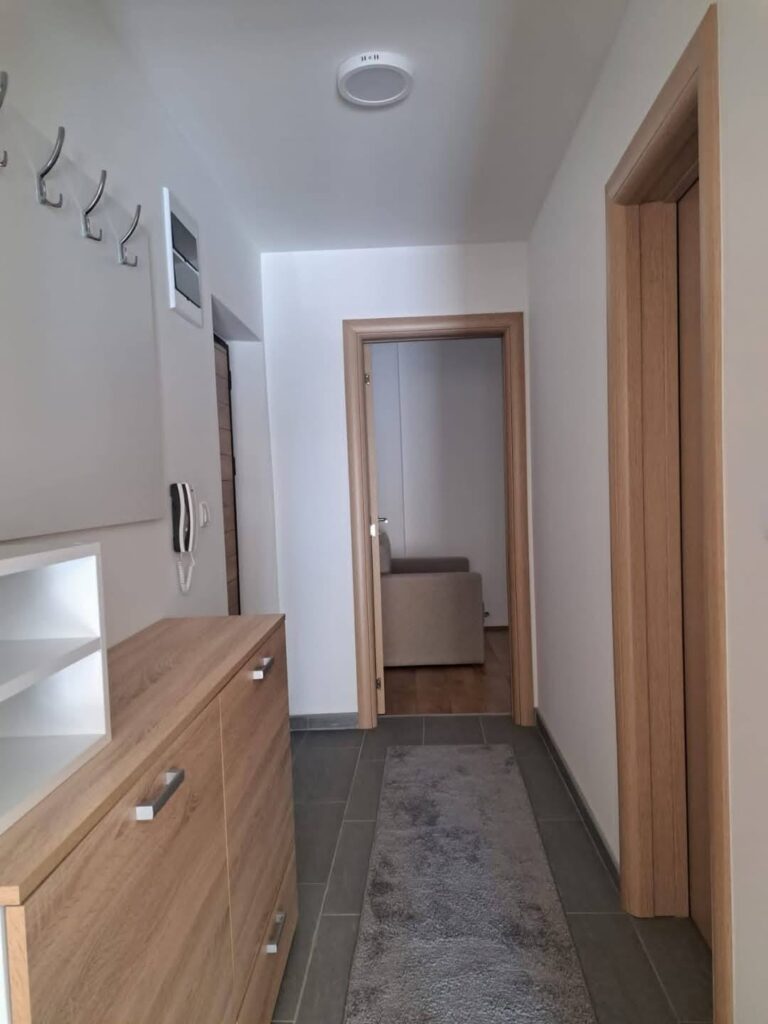 apartman-lazarevic-sokobanja-kneza-milosa-42 (7)