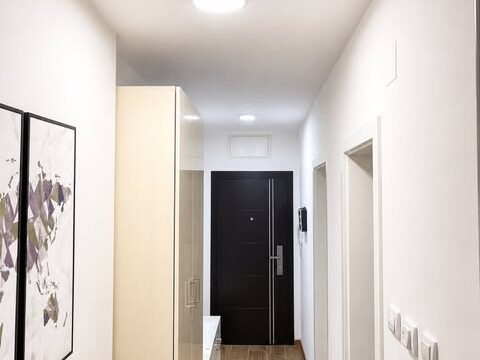 Apartman Teona Novi Sad – stan na dan Telep