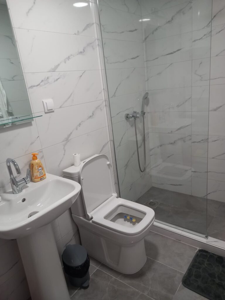 apartmani-vrnjacka-banja-lazar-bazen-kralj-residence (2)