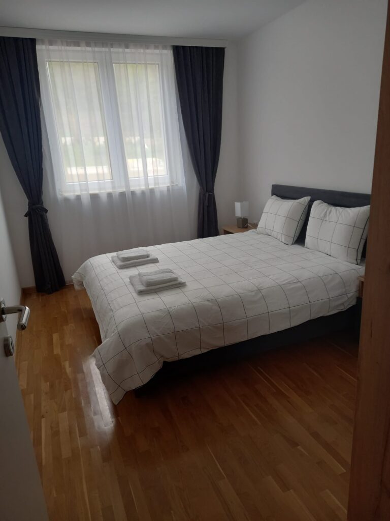 apartmani-vrnjacka-banja-lazar-bazen-kralj-residence (3)