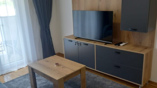 apartmani-vrnjacka-banja-lazar-bazen-kralj-residence (4)