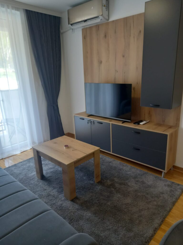 apartmani-vrnjacka-banja-lazar-bazen-kralj-residence (4)