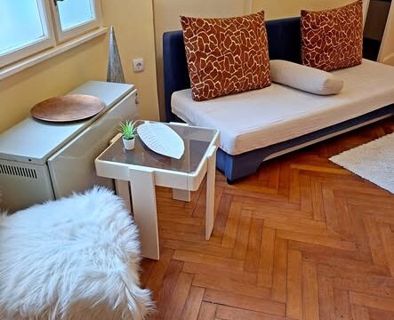 stan-na-dan-zemun-smestaj-30e-centar-02