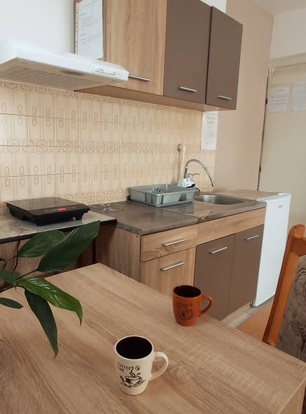 studio-apartman-vrnjacka-banja-sa-parkingom-01