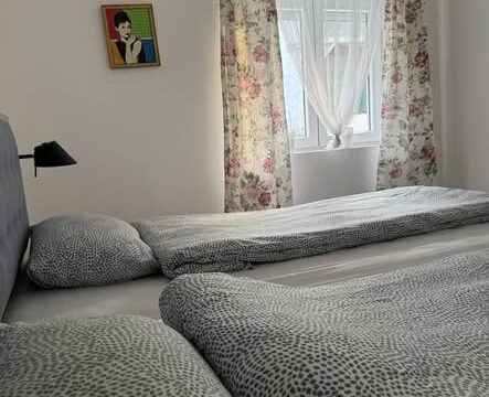 vila-lela-vrnjacka-banja-apartmani-na-setalistu-japanski-vrt-01