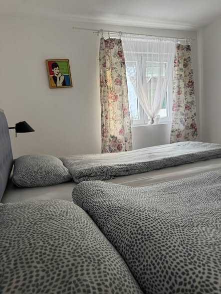 vila-lela-vrnjacka-banja-apartmani-na-setalistu-japanski-vrt-01