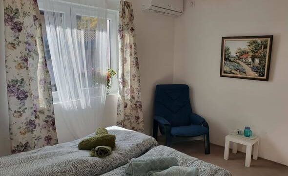 Vila Lela Vrnjačka Banja – apartmani na šetalištu, parking