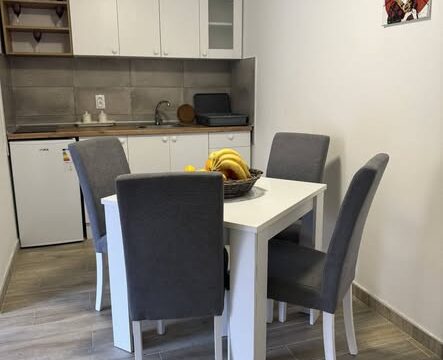 vila-lela-vrnjacka-banja-apartmani-na-setalistu-japanski-vrt