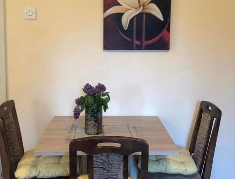 Apartman Ljubica Žarkovo – Pet Friendly Stan na Dan (2)