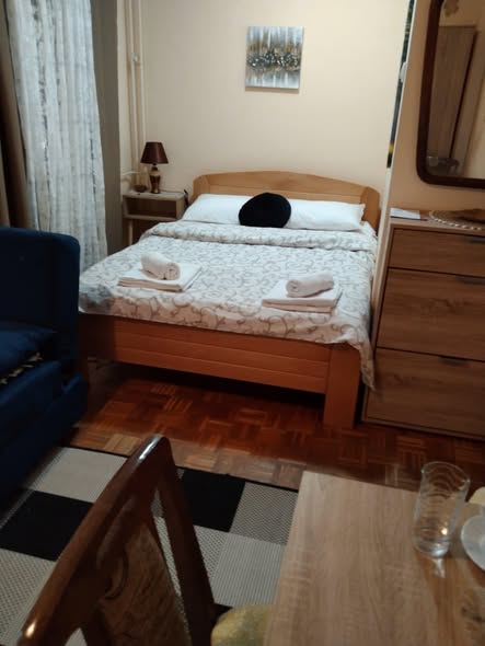 Apartman Ljubica Žarkovo – Pet Friendly Stan na Dan (3)