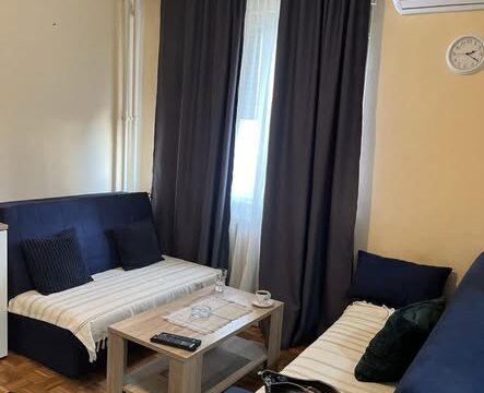 Apartman Ljubica Žarkovo – Pet Friendly Stan na Dan (4)