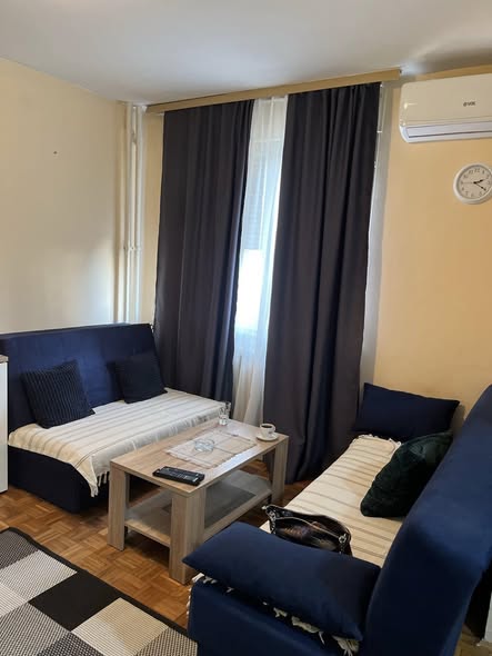 Apartman Ljubica Žarkovo – Pet Friendly Stan na Dan (4)