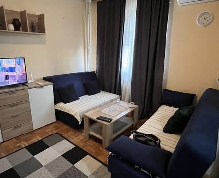Apartman Ljubica Žarkovo – Pet Friendly Stan na Dan (5)