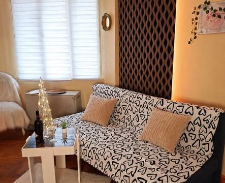 apartman-centar-zemuna-30-eura-duzi-boravak-smestaj-32m2-02