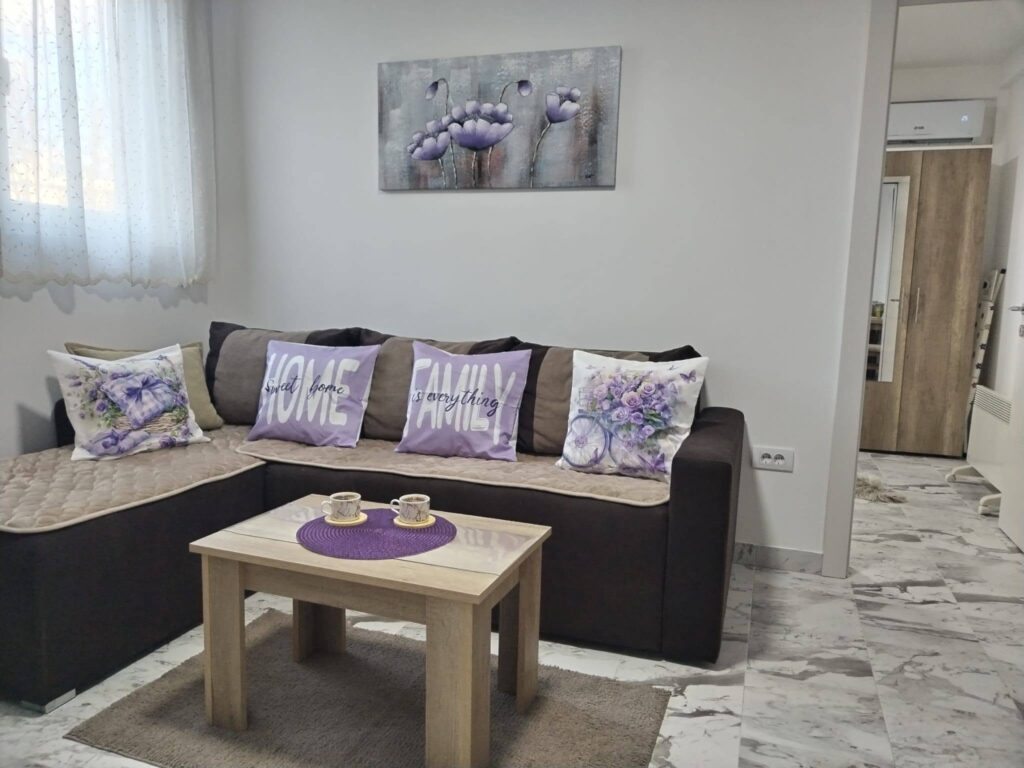 apartman-ristic-vrnjacka-banja-smestaj-odmor-rezervacije