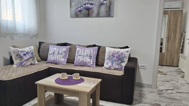 apartman-ristic-vrnjacka-banja-smestaj-odmor-rezervacije