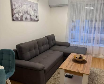 stan-na-dan-nis-sunny-hill-ledena-stena-45m2-parking (3)