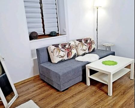 Studio apartman u Zemunu – centar, Gardoš i kej
