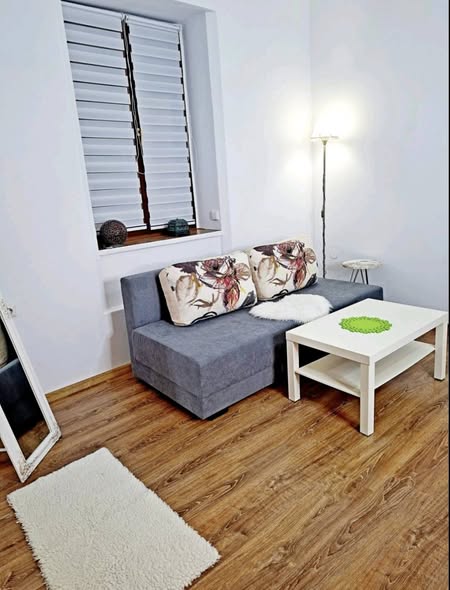 Studio apartman u Zemunu – centar, Gardoš i kej