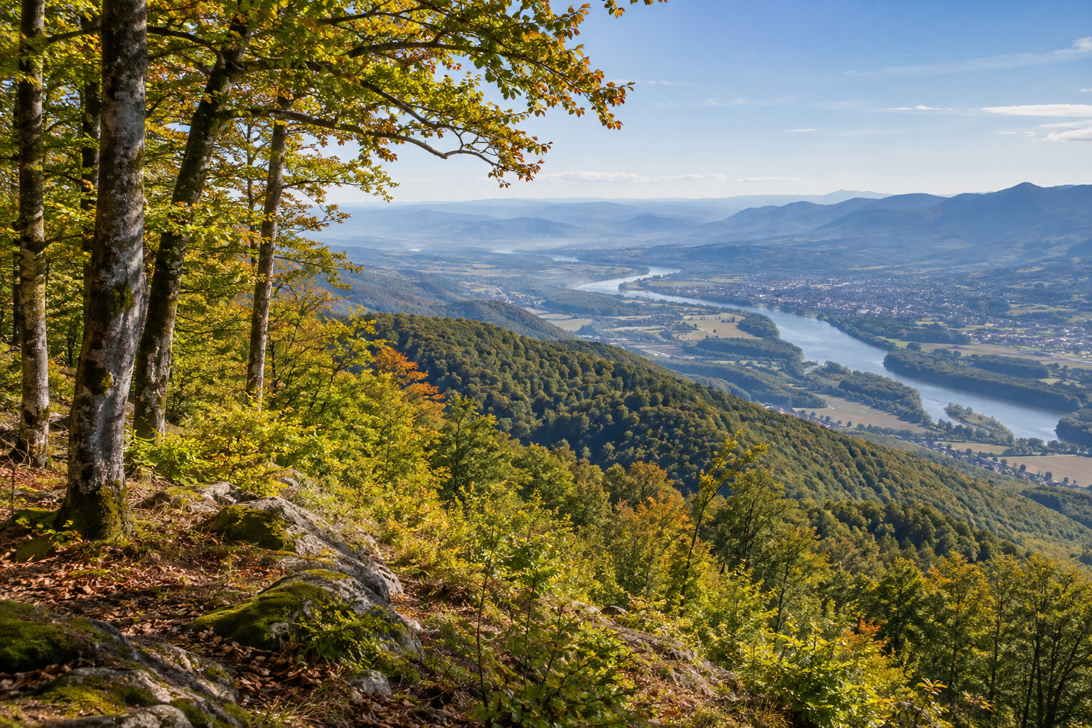 Pogled sa šumovitog vidikovca na Gučevu prema dolini Drine