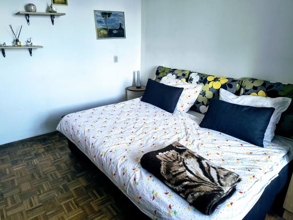 stan-na-dan-novi-sad-detelinara-30-evra (3)