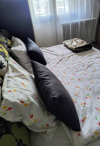 stan-na-dan-novi-sad-detelinara-30-evra (4)