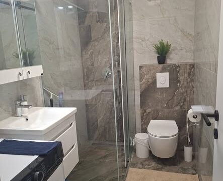 stan-na-dan-novi-sad-lana-lux-apartman (3)