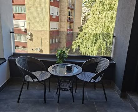 stan-na-dan-novi-sad-lana-lux-apartman (4)
