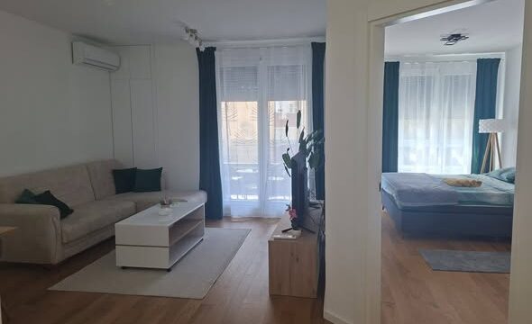 stan-na-dan-novi-sad-lana-lux-apartman (5)